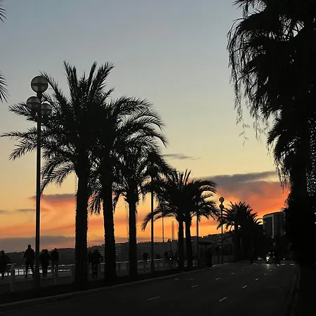 Seaview Serenity דירה *